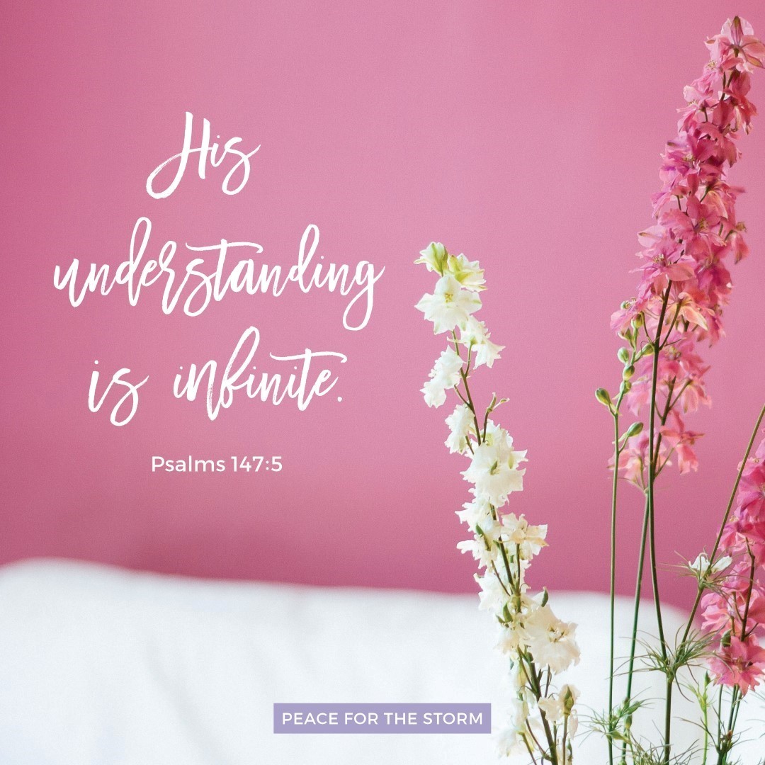 Peace-for-the-Storm-Quotes-His-Understanding-is-Infinite